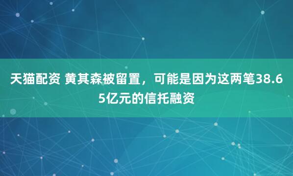 天猫配资 黄其森被留置，可能是因为这两笔38.65亿元的信托融资